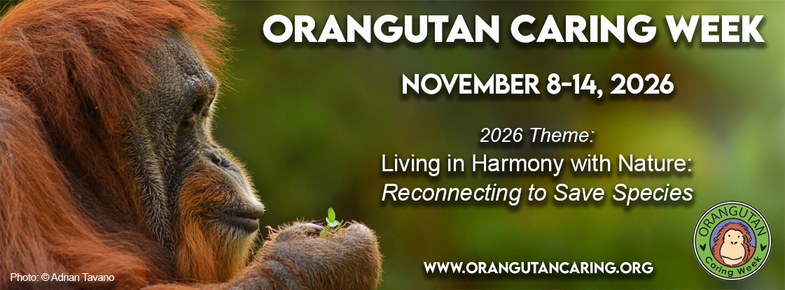 Living in Harmony with Nature: Reconnecting to Save Species